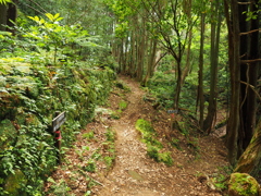 P5270043