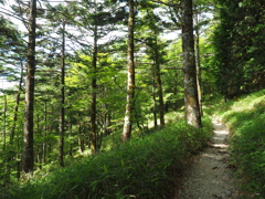 P7080232