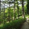 P7080232
