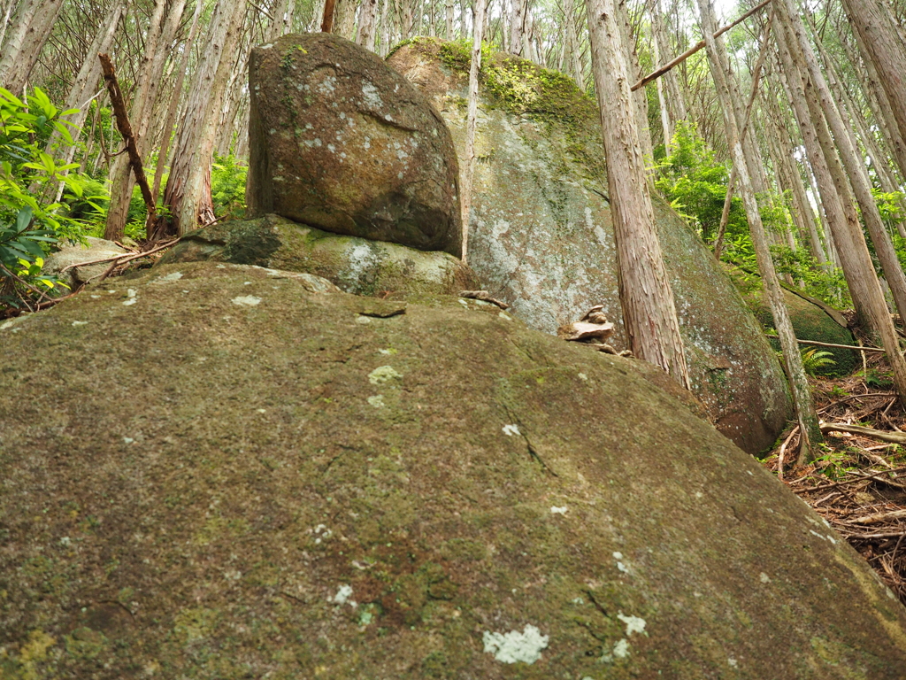 P5270073