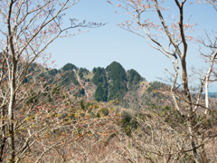 P4290290