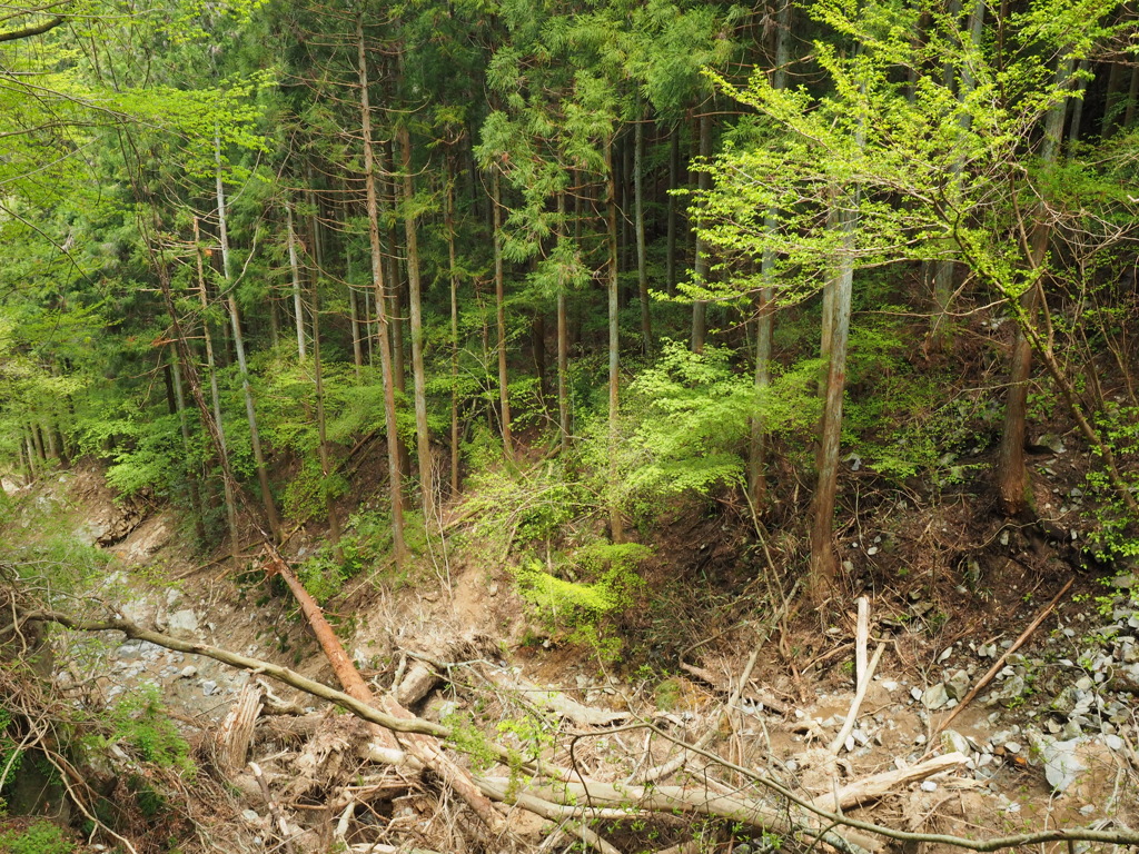 P4300140