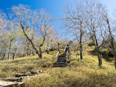 P5140118