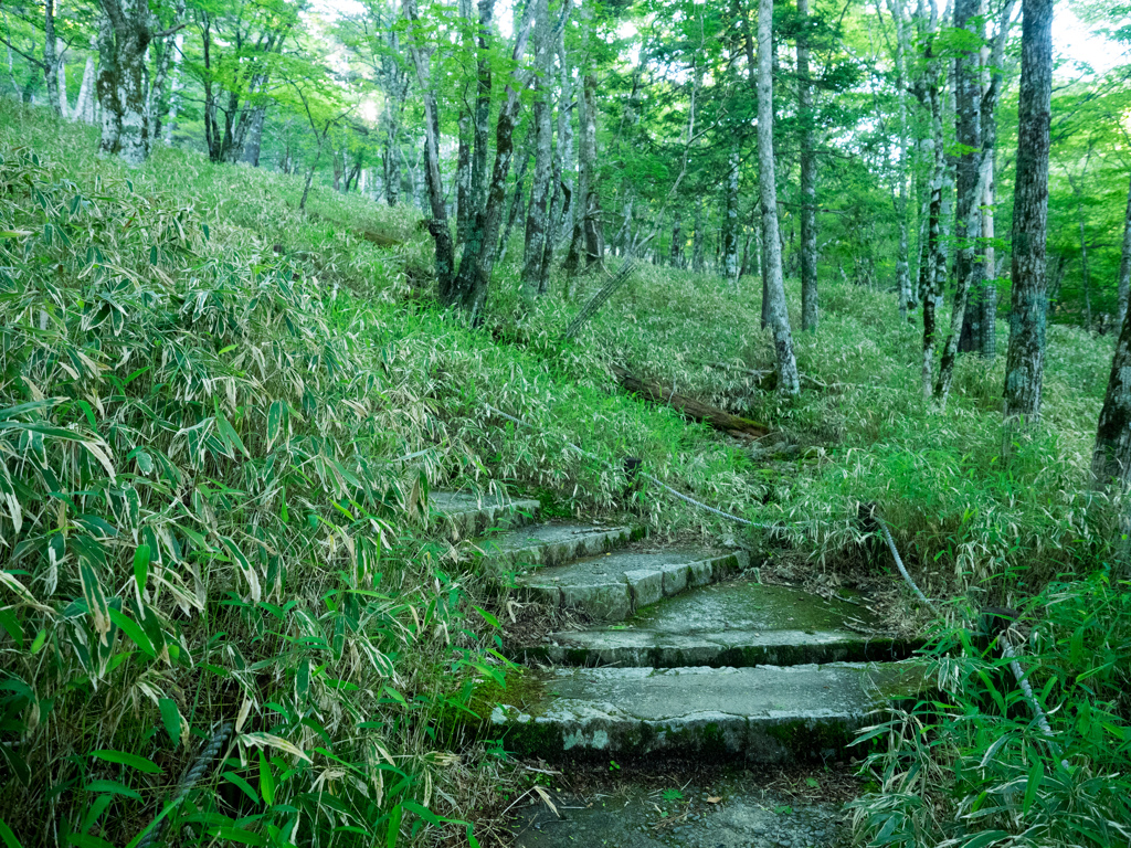 P6170045