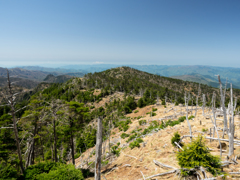 P4290251