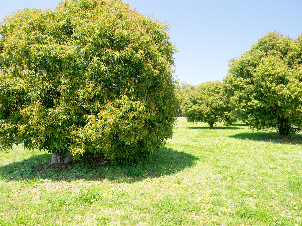 P4100039