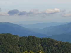 P7080198g