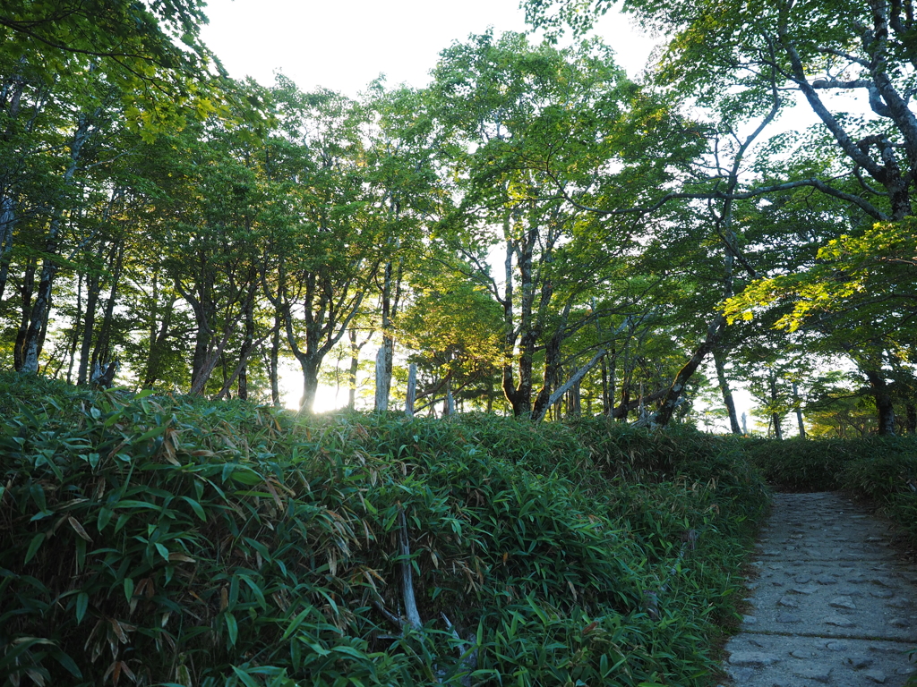 P7220026
