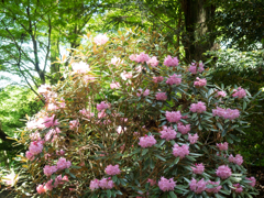 P4270011