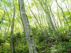 P4270076