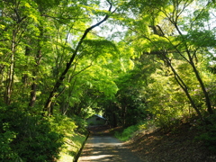 P5030088