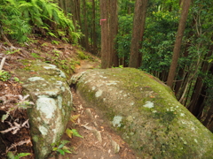 P5270063
