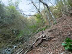 P4290031