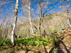 P4290125