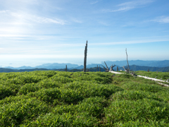 P7080096