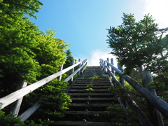P7080128