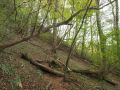 P4300030