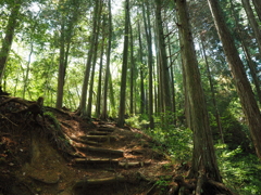 P4270036