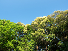 P5030066