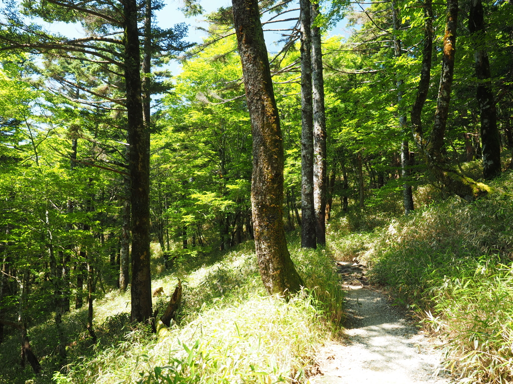 P6170367