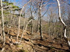 P4290095