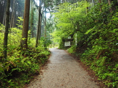 P4250010