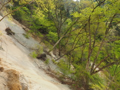 P4300036