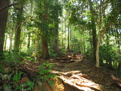P4270029
