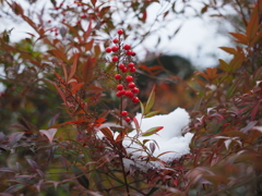 P2123435