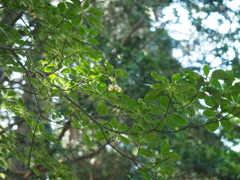 P6170046
