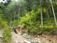 P4300007