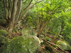 P5270094
