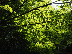 P6170039