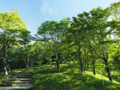 P7080057