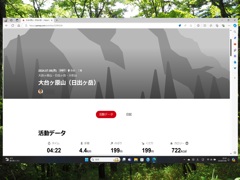 P7080239d