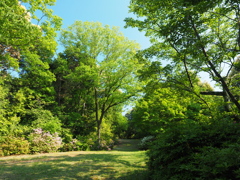 P5030041