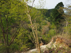 P4300043