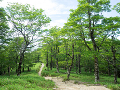 P7080208