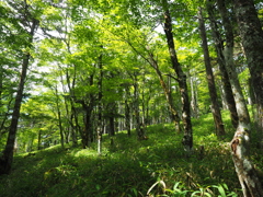 P7080229