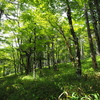 P7080229