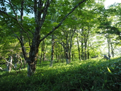 P7080030