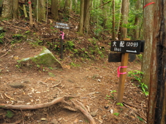 P5270259