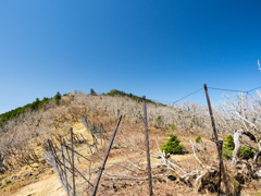 P4290189