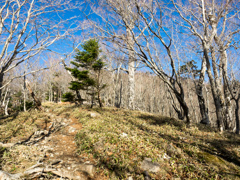 P4290069