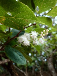 P6170094b