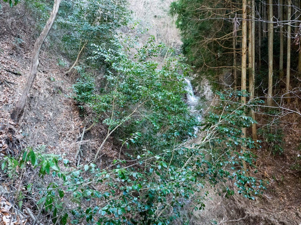 P1042692