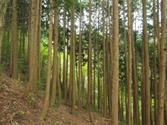 P4300021