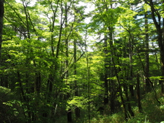 P7080221