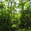 P7080221