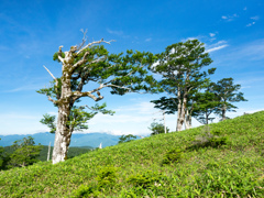 P7080162
